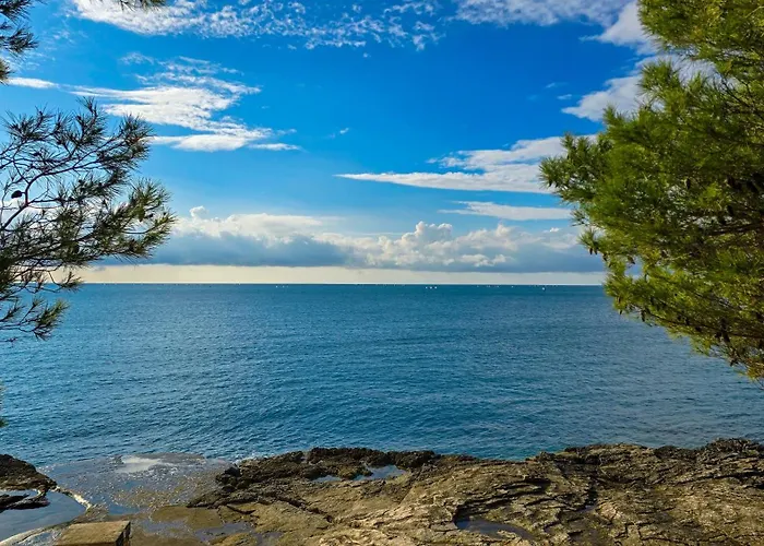 Muenz Franz * 普拉